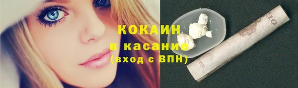 гидропоника Дмитриев
