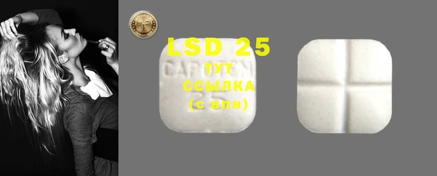 mdpv Гусев