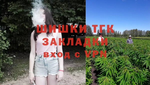 метадон Гусь-Хрустальный