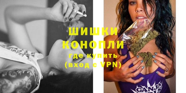 mdpv Гусев