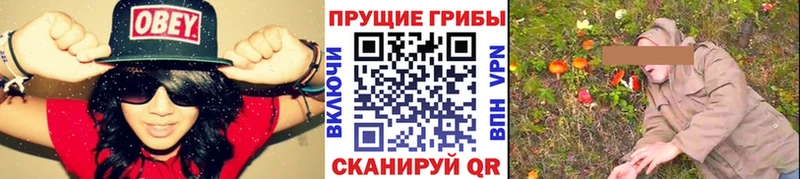 Галлюциногенные грибы Cubensis  KRAKEN онион  Щучье  магазин продажи наркотиков 