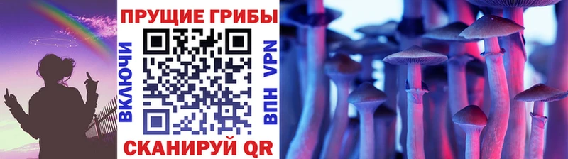 Псилоцибиновые грибы Psilocybine cubensis Щучье